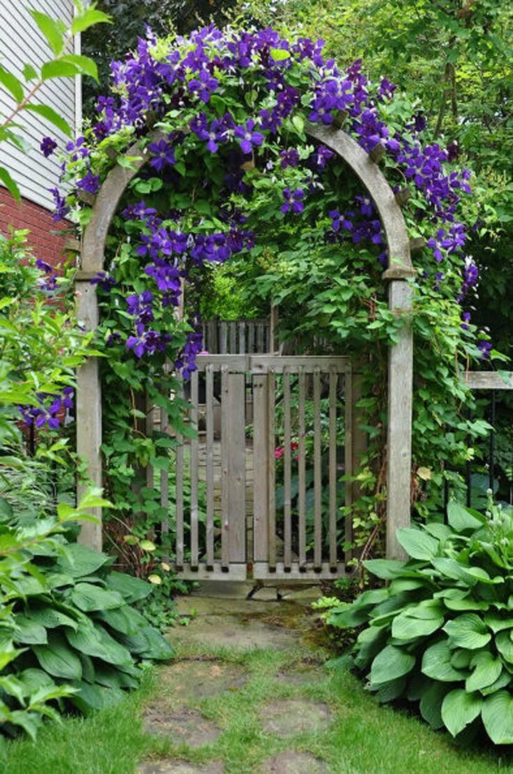 Плетущиеся цветы для беседки многолетники фото 11 Lovely Garden Gates for a Beautiful Backyard Garden gates, Garden arbor, Outd