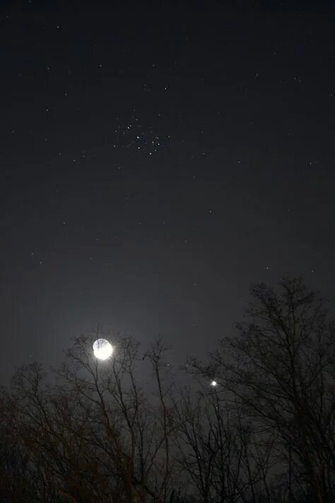 Плеяды фото с земли As 10 melhores ideias e inspirações de dipper constellation