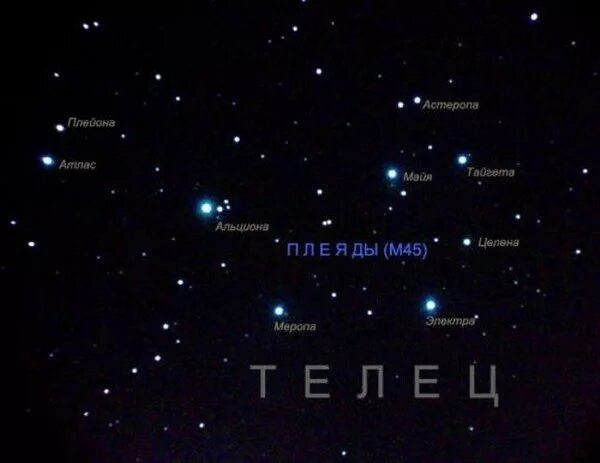 Плеяды созвездие на звездном небе как выглядит Созвездие "SUBARU" - ты просто космос детка. - DRIVE2