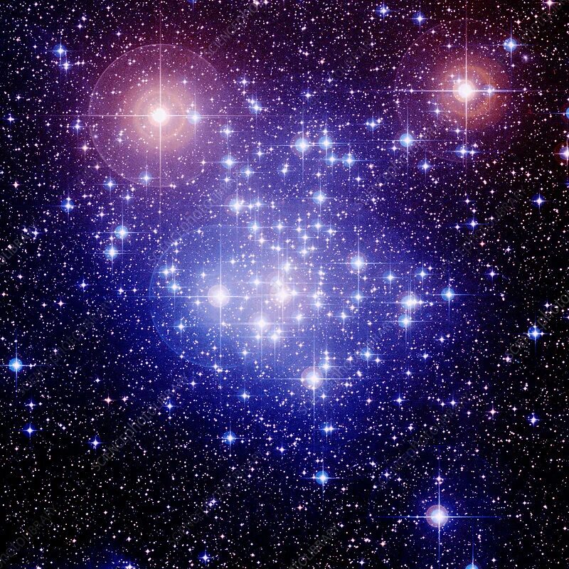 Плеяды звездное скопление на небе фото Star cluster - Stock Image - R614/0199 - Science Photo Library