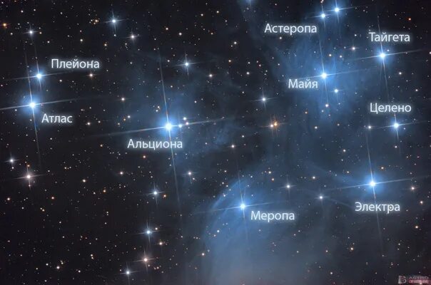 Плеяды звездное скопление на небе фото What is most often confused in the sky constellation Ursa Minor? Well, of course