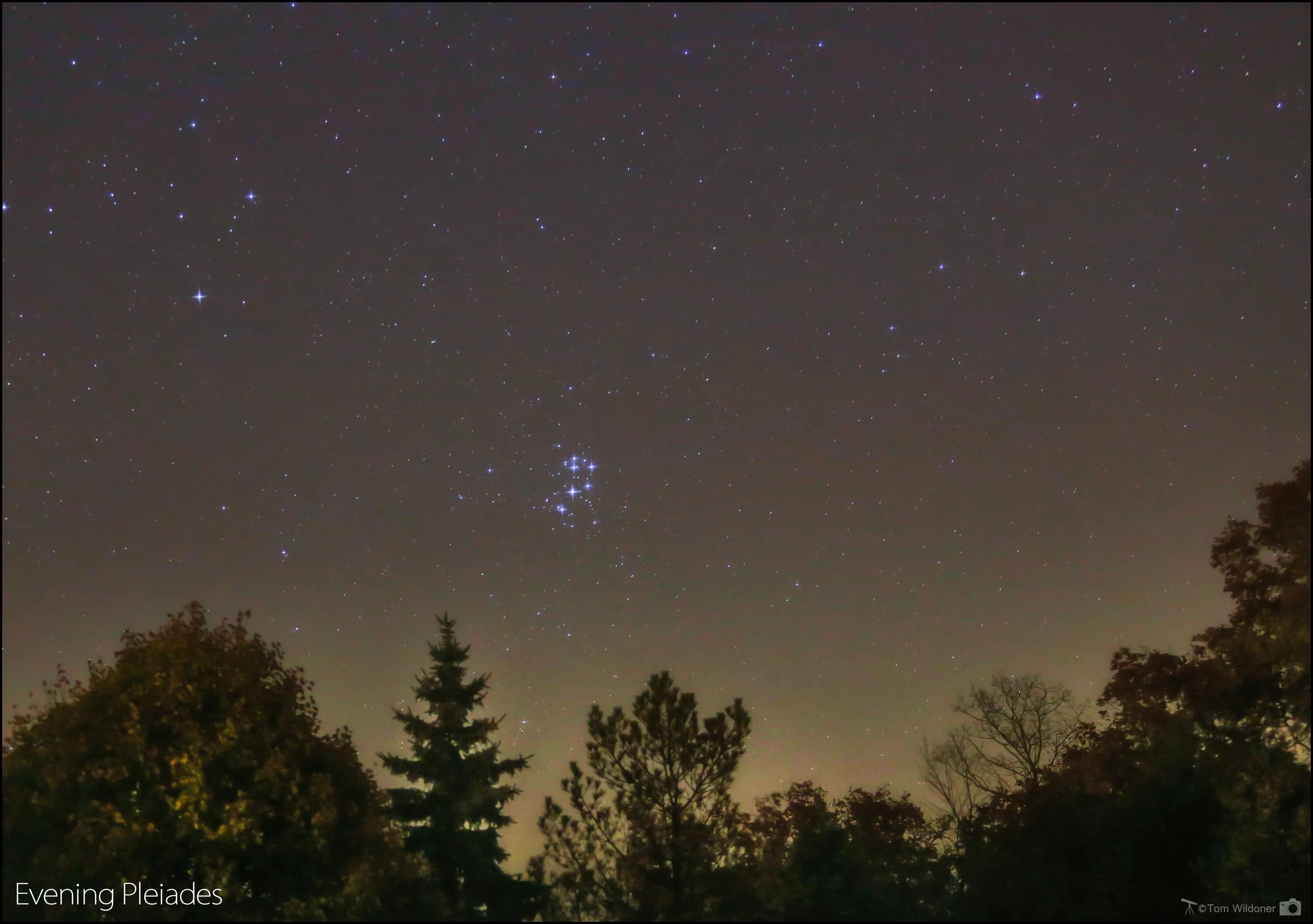 Плеяды звездное скопление на небе фото The Pleiades (M45) in the eastern sky - Astronomy Magazine - Interactive Star Ch