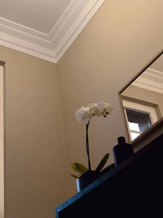 Плинтуса потолок в интерьере фото Roda teto Moldura de gesso, Roda teto gesso, Molduras