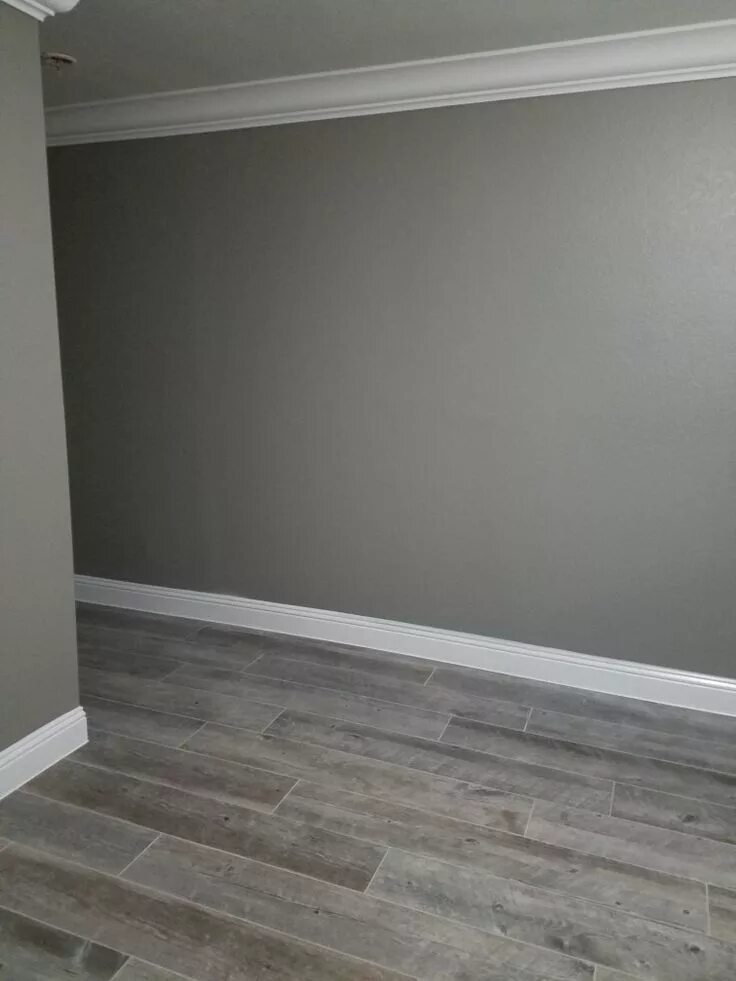 Плинтуса светло серые фото Walls: Acier SW9170 Floors: Natural Timber Ash Porcelain Tile (Lowe's) Natural h