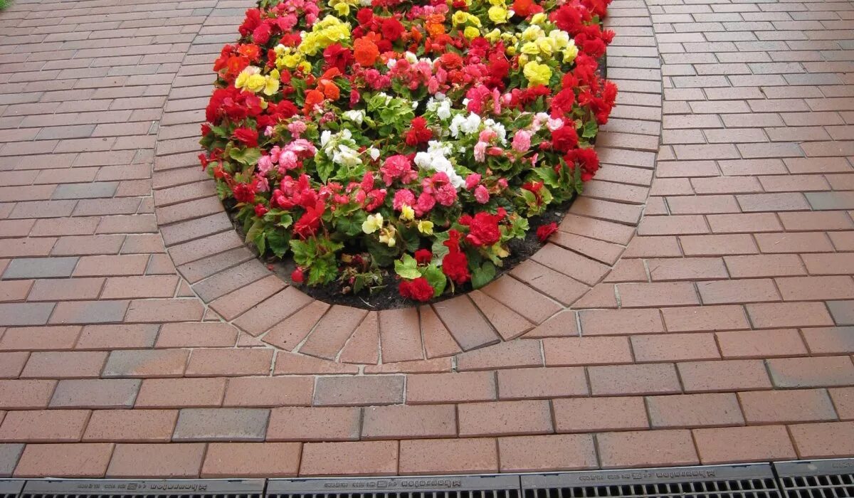 Плитка клумбы фото Клинкерная тротуарная плитка Kiel-Heidebunt KF 200x100x45 мм ABC