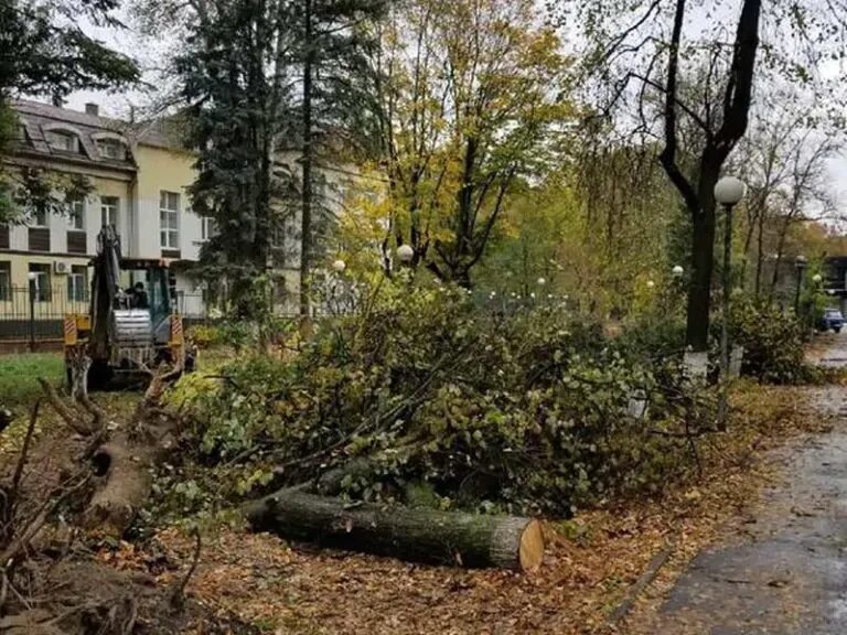 Плитстрой городской округ брянск бежицкий район фото Брянская улица : В Брянске срубили деревья в сквере Камозина в Бежицком районе