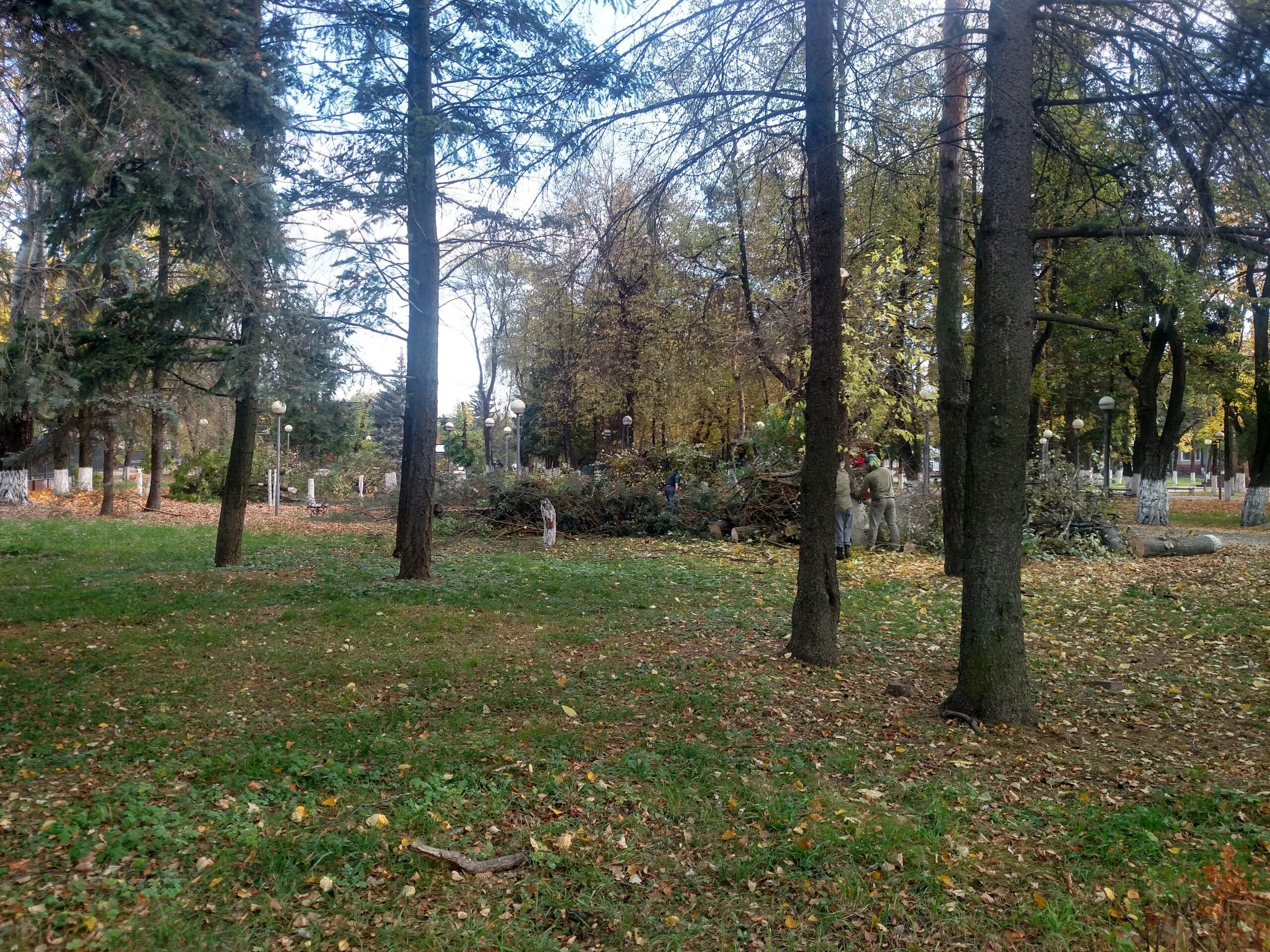 Плитстрой городской округ брянск бежицкий район фото Деревья срубили в сквере Камозина в Бежицком районе Брянска: Яндекс.Новости