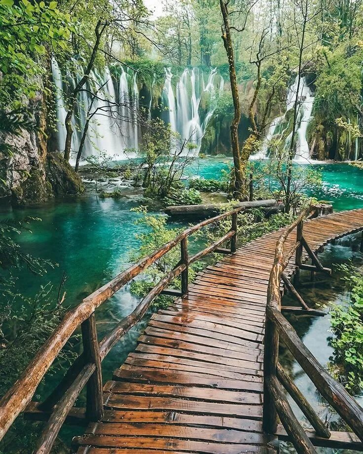 Плитвицкие озера фото EARTH FOCUS on Instagram: "Plitvice lakes has too many waterfalls to count! What
