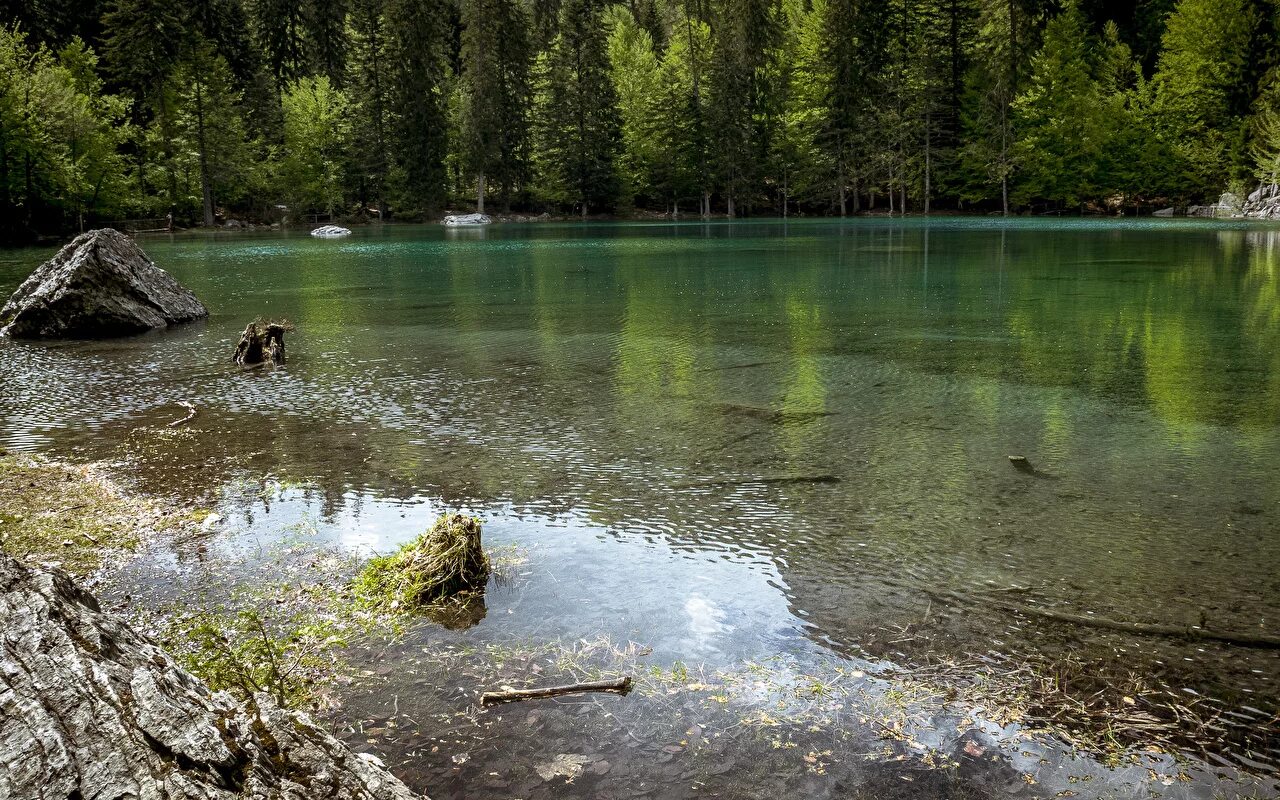 Пливицкие озера фото Картинка Франция Lake Vert Природа Озеро