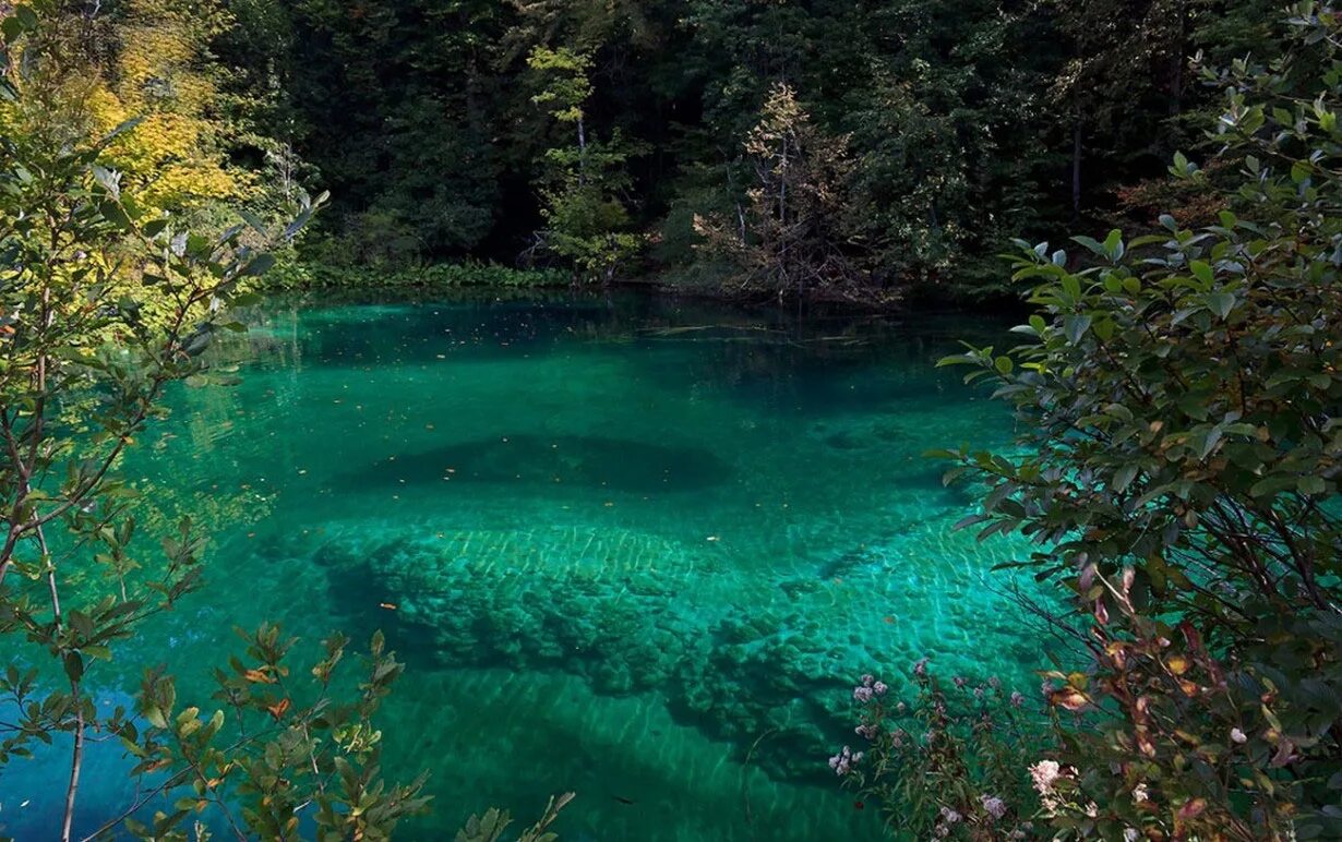 Пливицкие озера фото Видеть чистую прозрачную воду