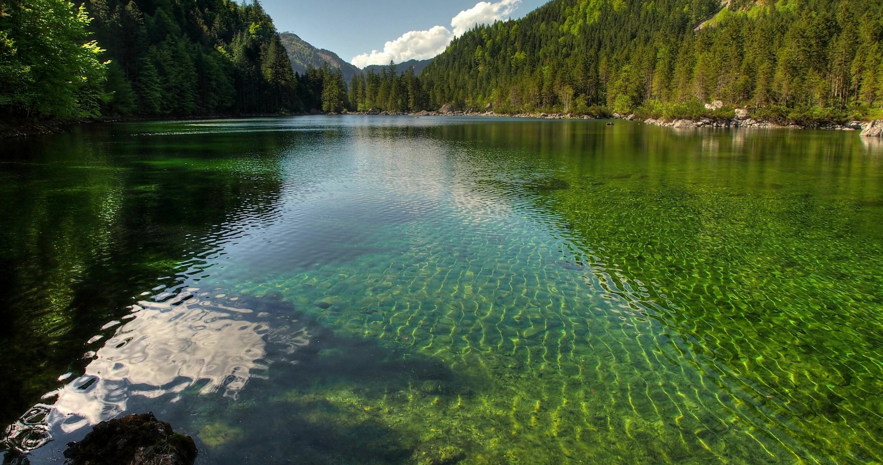 Пливицкие озера фото #austria #bosque #lago #naturaleza #4K #wallpaper #hdwallpaper #desktop Forest l