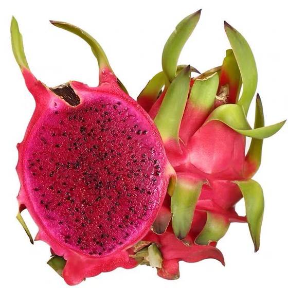 Плод дракона фрукт фото Cari Terbaik harga buah naga kuning Produsen dan harga buah naga kuning untuk in