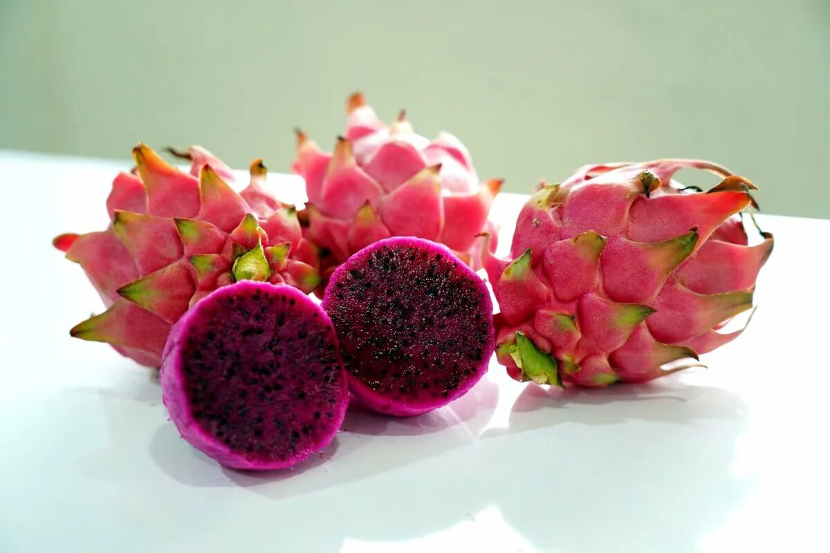 Плод дракона фрукт фото Gujarat govt to hold Kamalan and Other Fruits Festival DeshGujarat