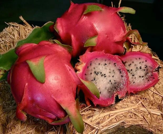 Плод дракона фрукт фото Dragon Fruit Makes its Culinary Journey to US Farms and Kitchens - The World fro