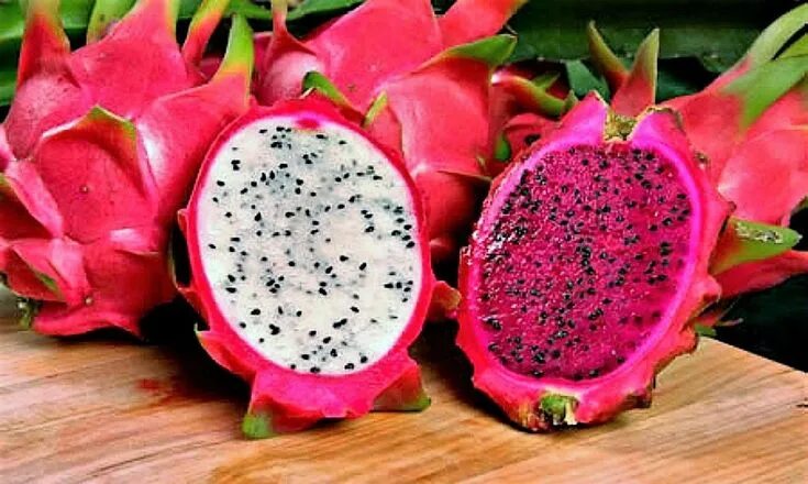 Плод дракона фрукт фото 20 PURPLE DRAGON FRUIT pitaya / Pitahaya / Strawberry Pear Hylocereus Undatus Ca