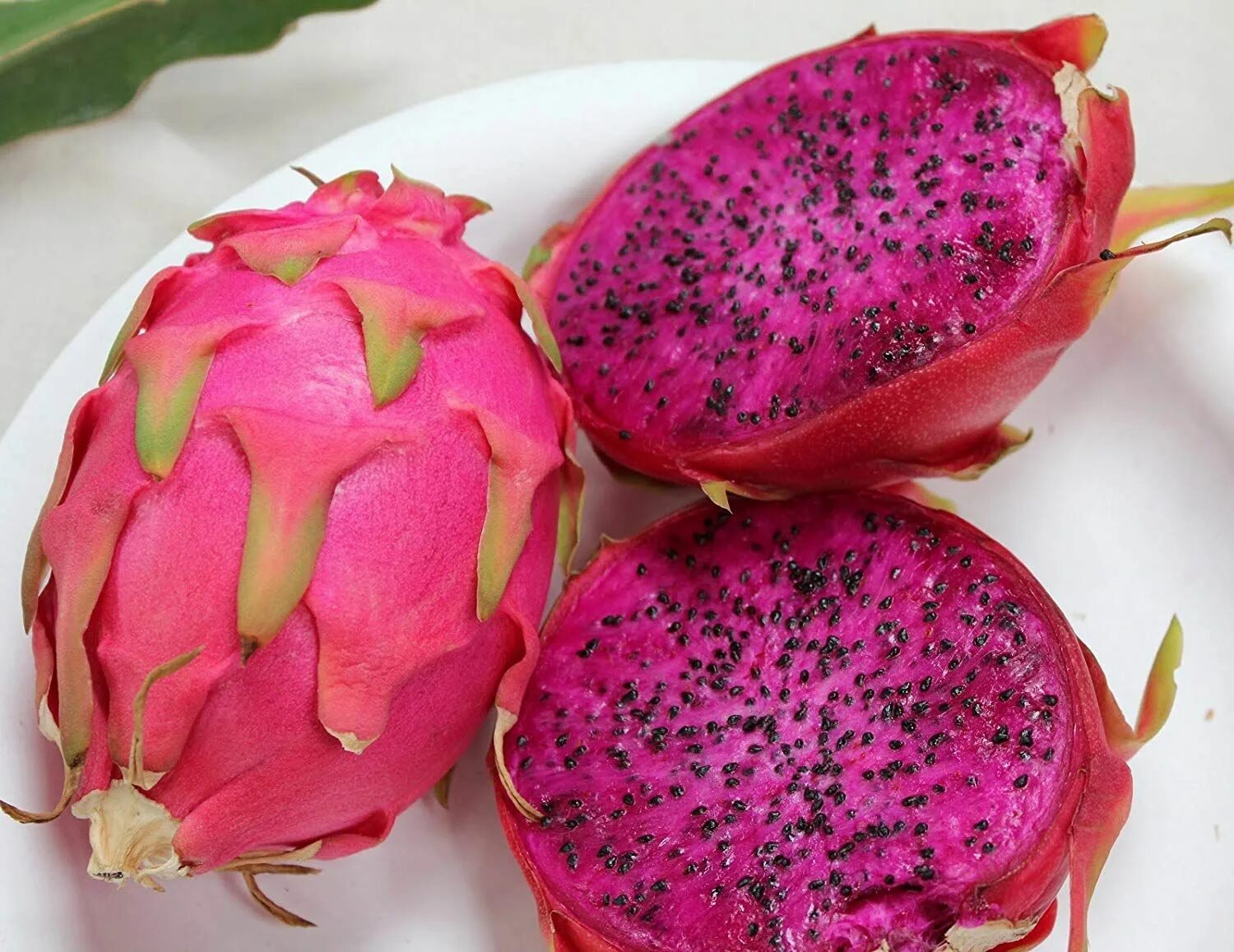 Плод дракона фрукт фото Dragon Fruit - Amazing Health Benefit of Dragon Fruit Buah naga, Buah, Diet