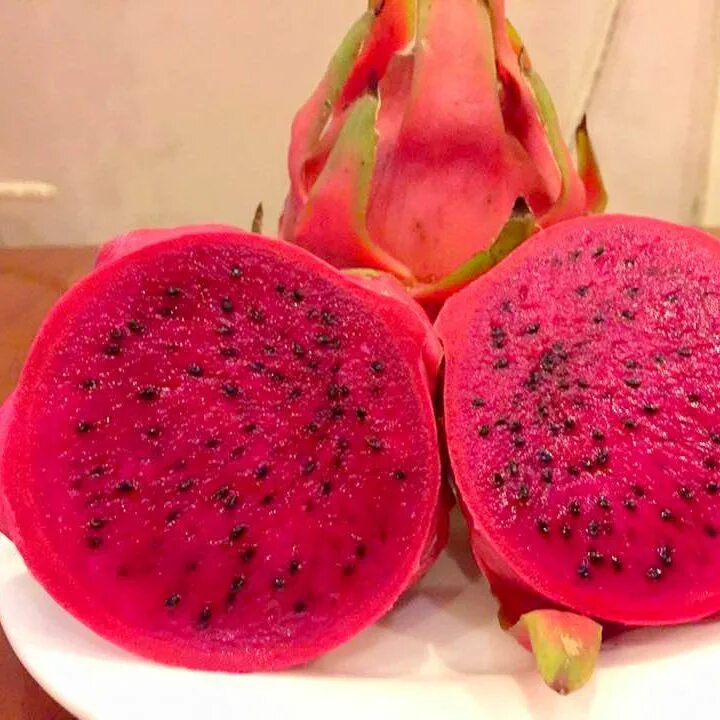 Плод дракона фрукт фото Mm Дракон Цена торговля, купить Дракон Цена напрямую с завода производящего Mm н