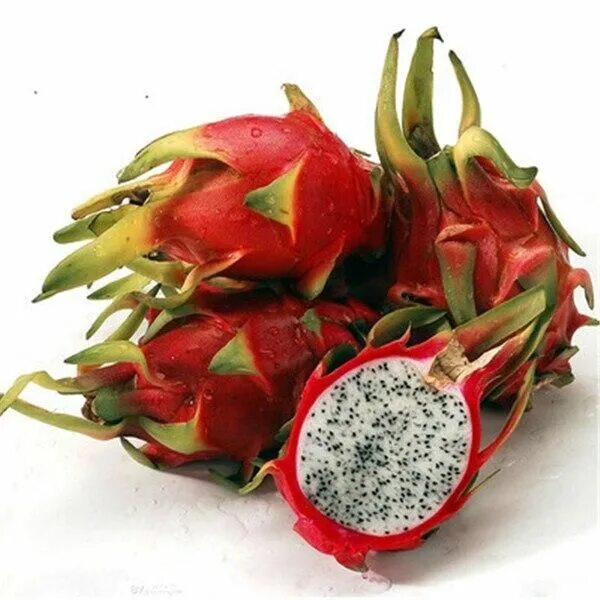 Плод дракона фрукт фото 100Pcs Japanese sweets Pitaya bonsai Organic Bonsai Plants Fruit Anti-aging NON-