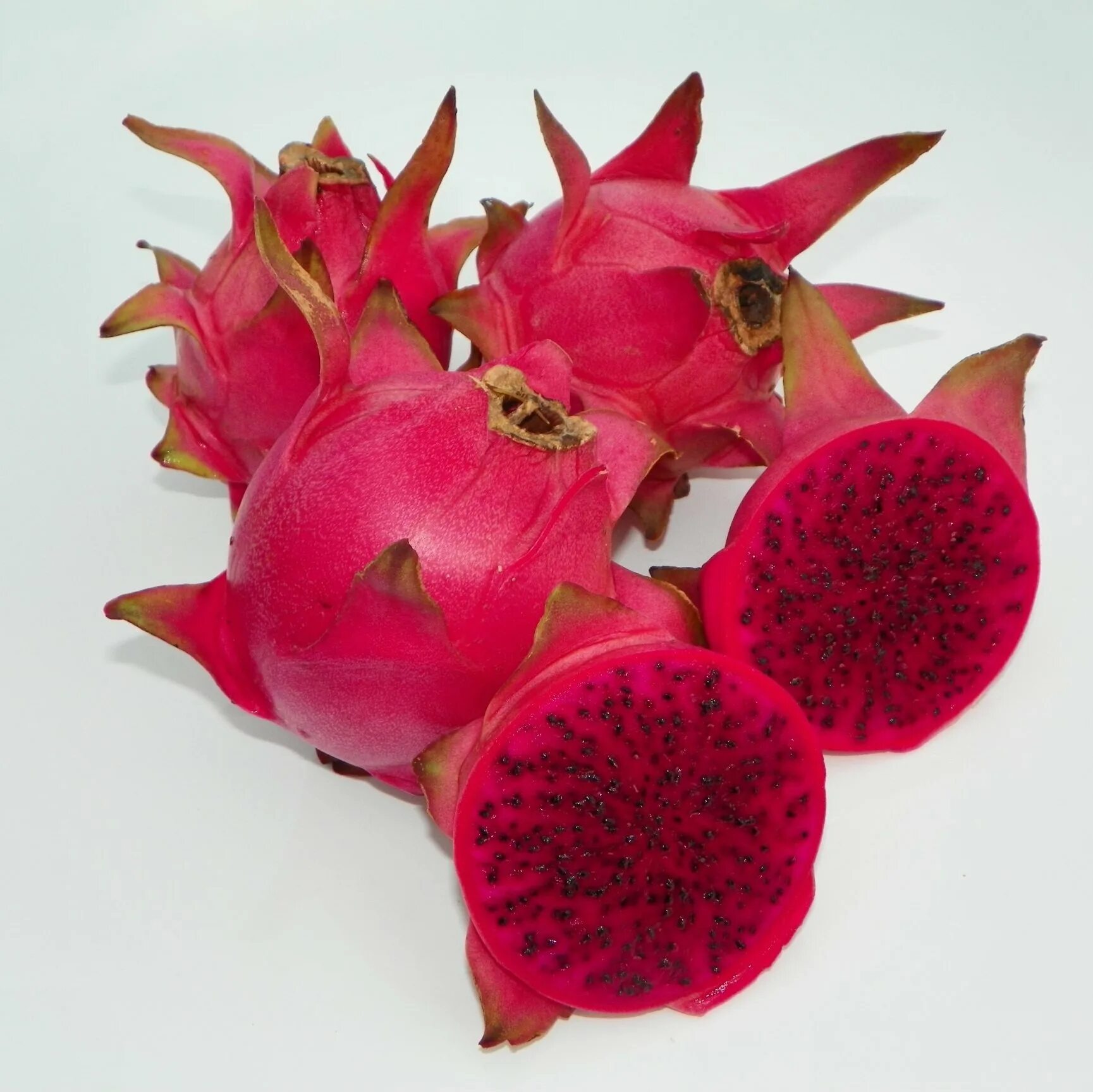 Плод дракона фрукт фото Dragon Fruit Hylocereus Undatus Halley's Comet Red Flesh 2 Cuttings 5-7 12F