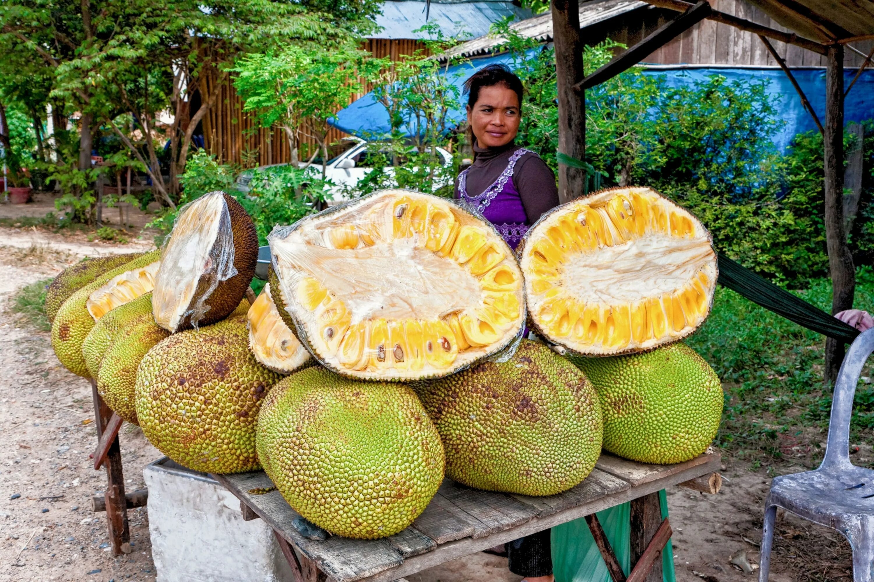 Плод хлебного дерева фото Is Jackfruit the Next Big Meat Substitute?