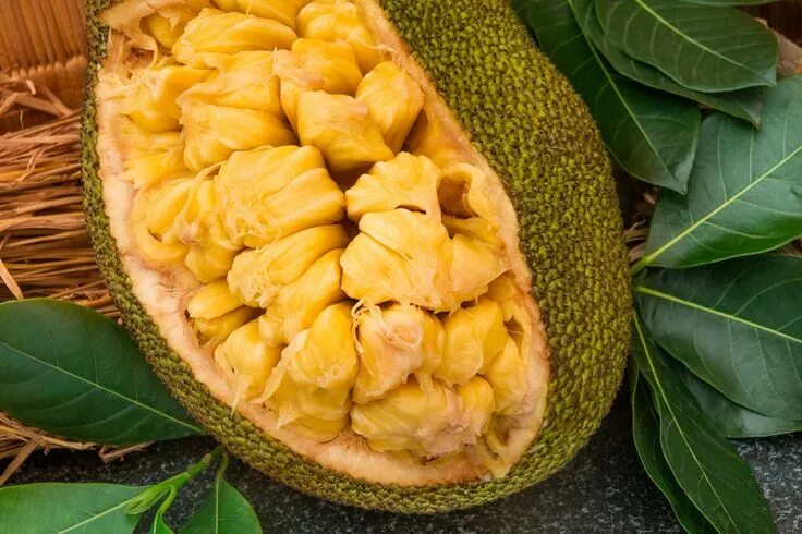Плод хлебного дерева фото What is Jackfruit? Jackfruit, Jamaican recipes, Fruit