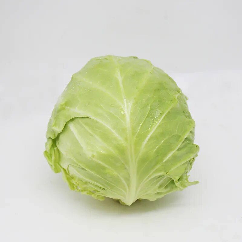 Плод капусты фото is cabbage a green vegetable de Atacado - Compre os melhores lotes is cabbage a 
