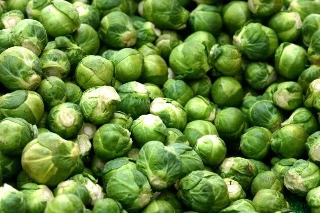 Плод капусты фото Брюссельская капуста, или Полезные маленькие кочанчики Sprouts, Brussel sprouts,