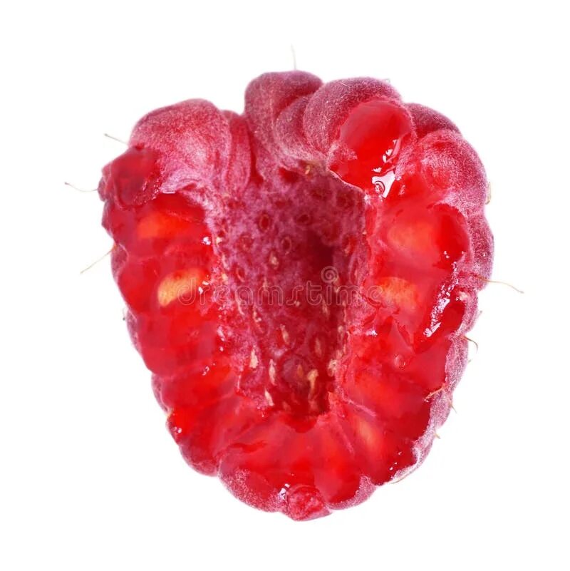 Плод малины фото Half of Red raspberry stock photo. Image of berry, detail - 25510814