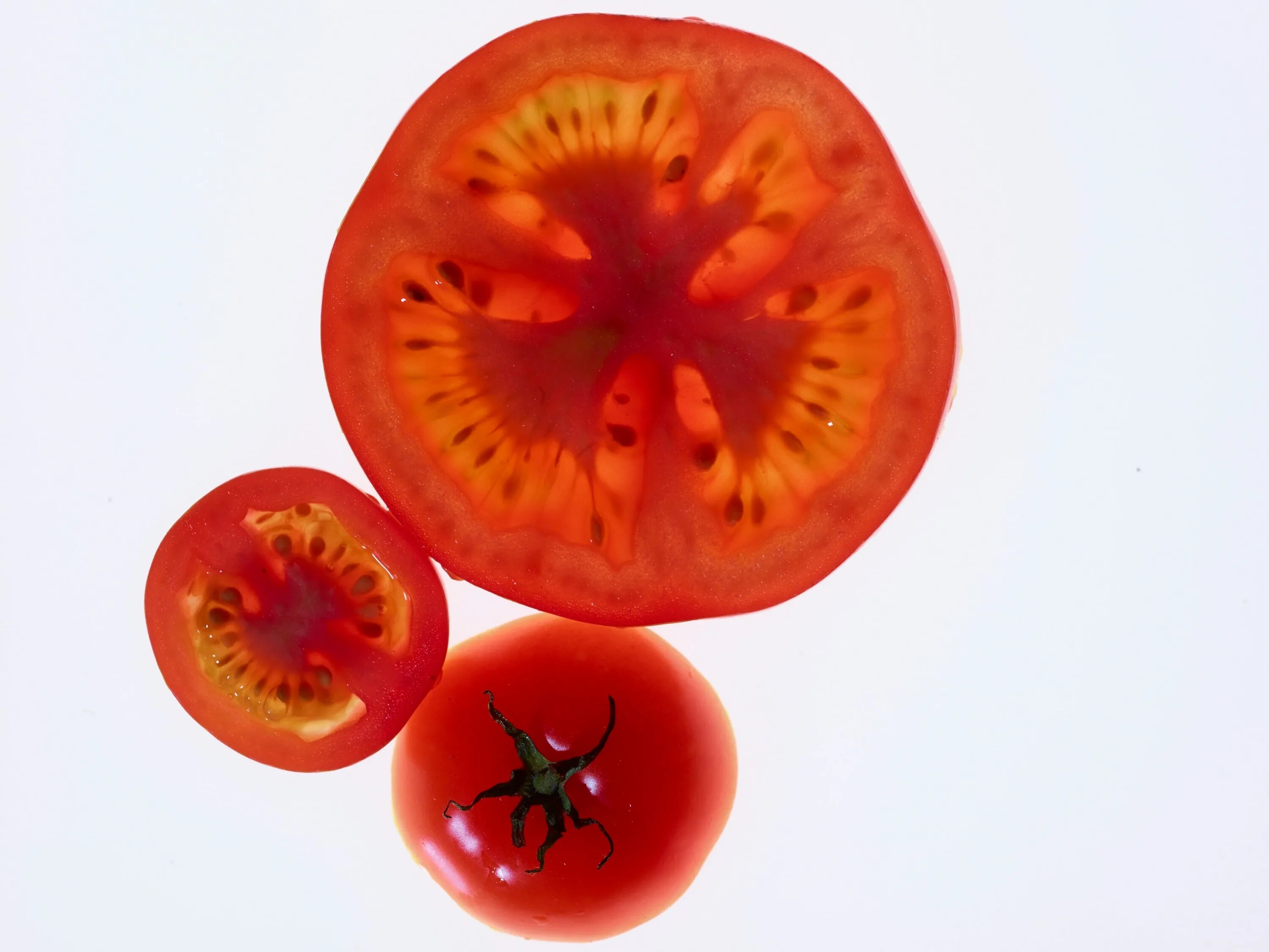 Плод томата фото Is a Tomato a Fruit? It Depends on How You Slice It