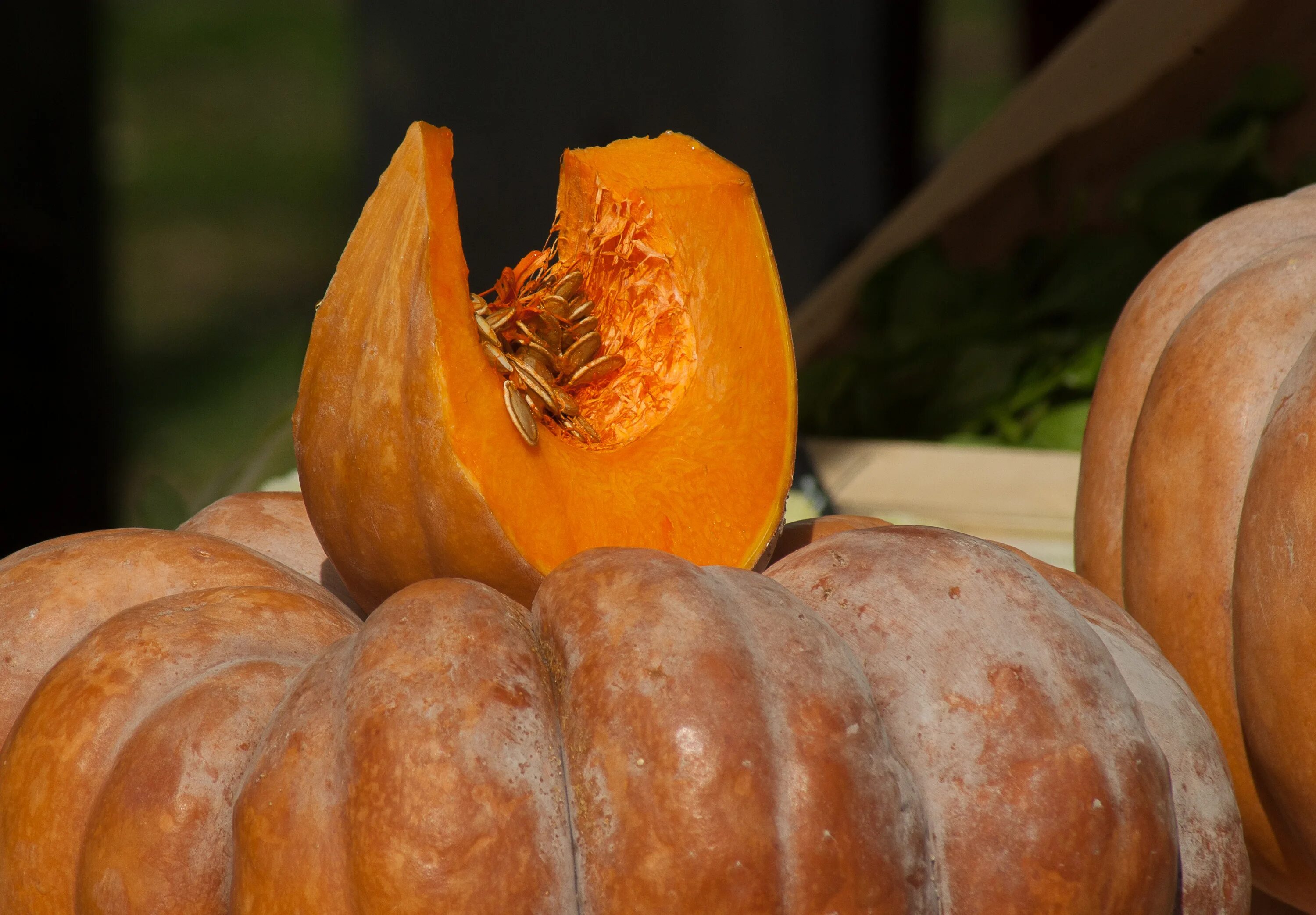 Плодоножка тыквы фото Free Images : seed, produce, autumn, pumpkin, gourd, jack o lantern, vegetables,