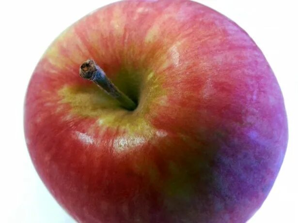 Плодоножка у яблока фото Getting to the core of a more nutritious apple