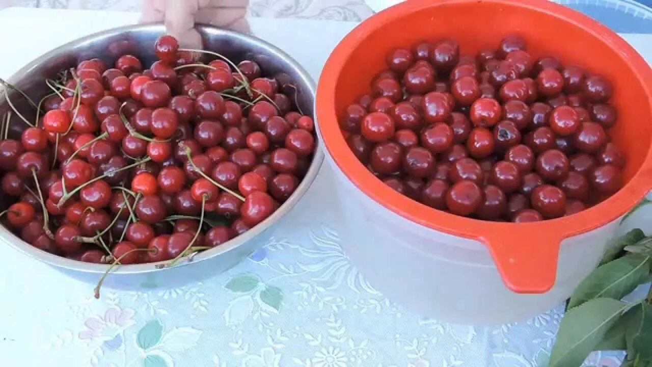Плодоножка вишни фото ВИШНЯ и её применение - YouTube