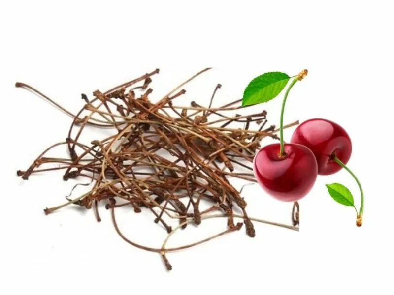 Плодоножка вишни фото Does Cherry Stalk Make Tea Weak? What are the Benefits? - Fitness Magazine