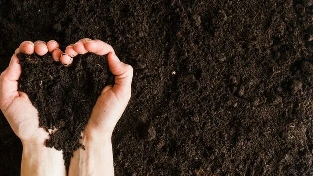 Плодородная земля фото Premium Photo An overhead view of woman's hand holding soil in heart shape Soil,