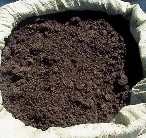 Плодородный грунт как выглядит фото Peat in bags. Delivery from.. 2022 ОБЪЯВЛЕНИЯ: Серов, Карпинск, Краснотурьинск. 