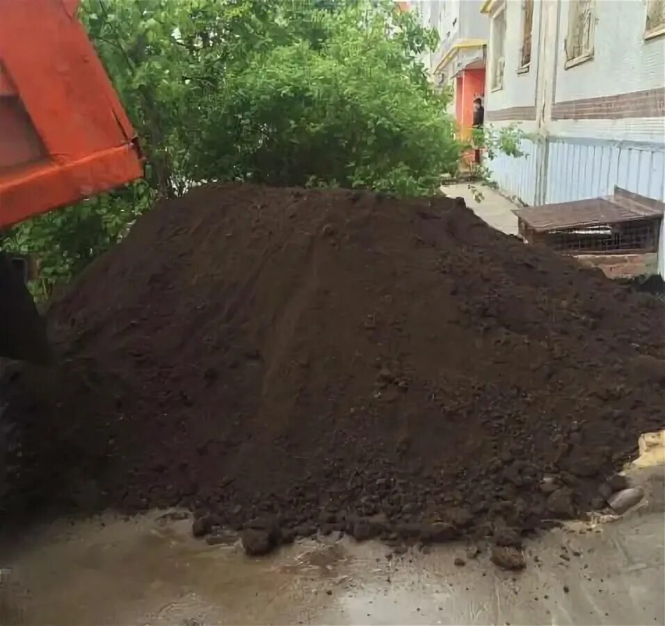 Плодородный грунт как выглядит фото Чернозем спецпочва грунт купить по цене 1800 ₽ в Сочи на PromPortal.Su (ID# 3036