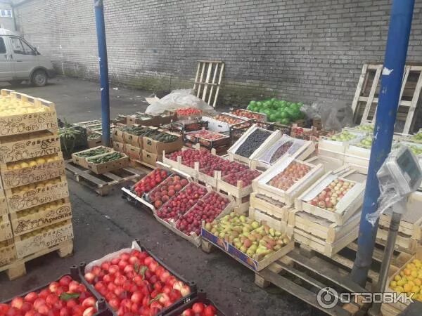 Плодово овощная база толевая ул 1 фото Отзыв о Софийская Оптовая База (Россия, Санкт-Петербург) Всё свежайшее!