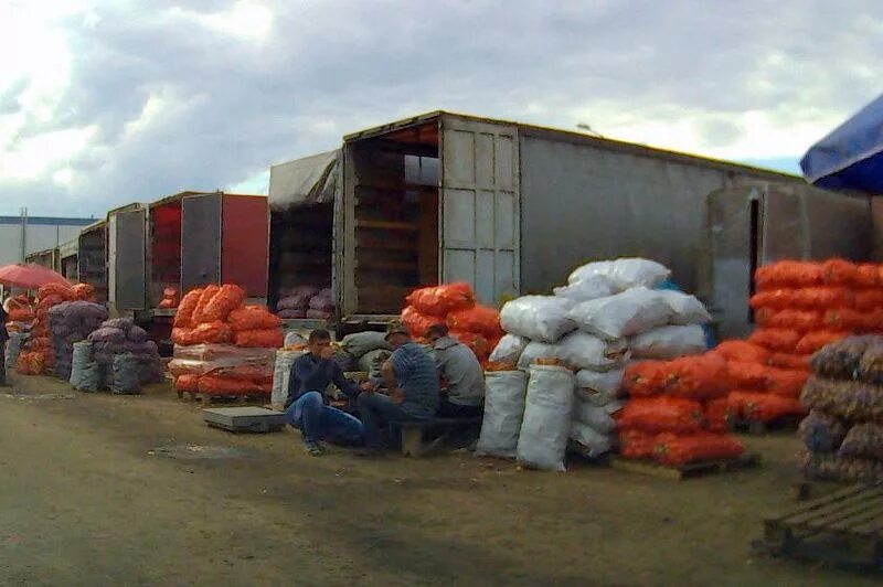 Плодово овощная база толевая ул 1 фото Луковые новости овощебазы в Домодедово Домодедовод - все о Домодедово