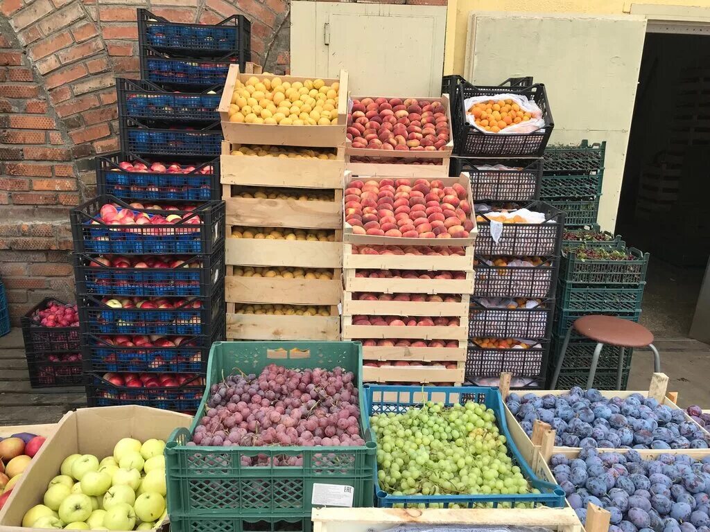 Плодово овощная база толевая ул 1 фото Fruits And Vegetables, vegetables and fruit wholesale, Russia, Smolensk, ulitsa 