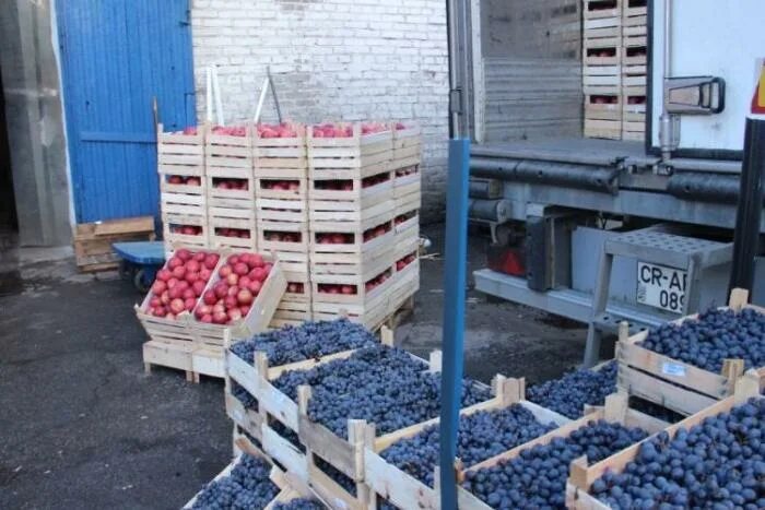 Плодово овощная база толевая ул 1 фото Kalinin fruit and vegetable base - Saint Petersburg