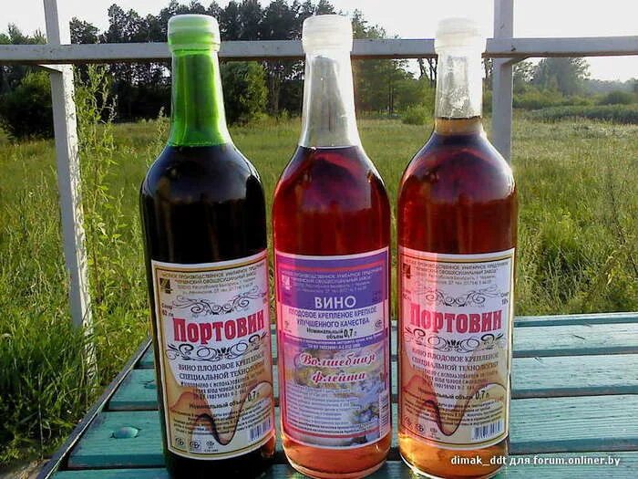 Плодово ягодное вино фото Плодово ягодные вина eCookie.ru