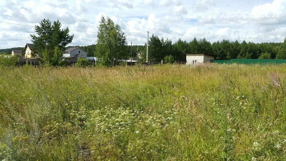 Плодовое советская ул 5 поселок садовый фото Зеленая жизнь спортивная ул 1 поселок садовый