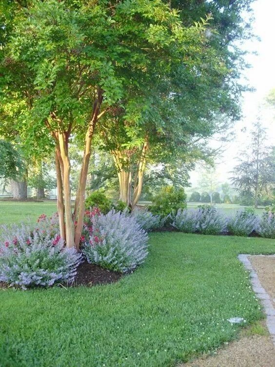 Плодовые деревья в ландшафтном дизайне Creative Landscape Ideas with Big Impact Creative landscape, Front yard landscap