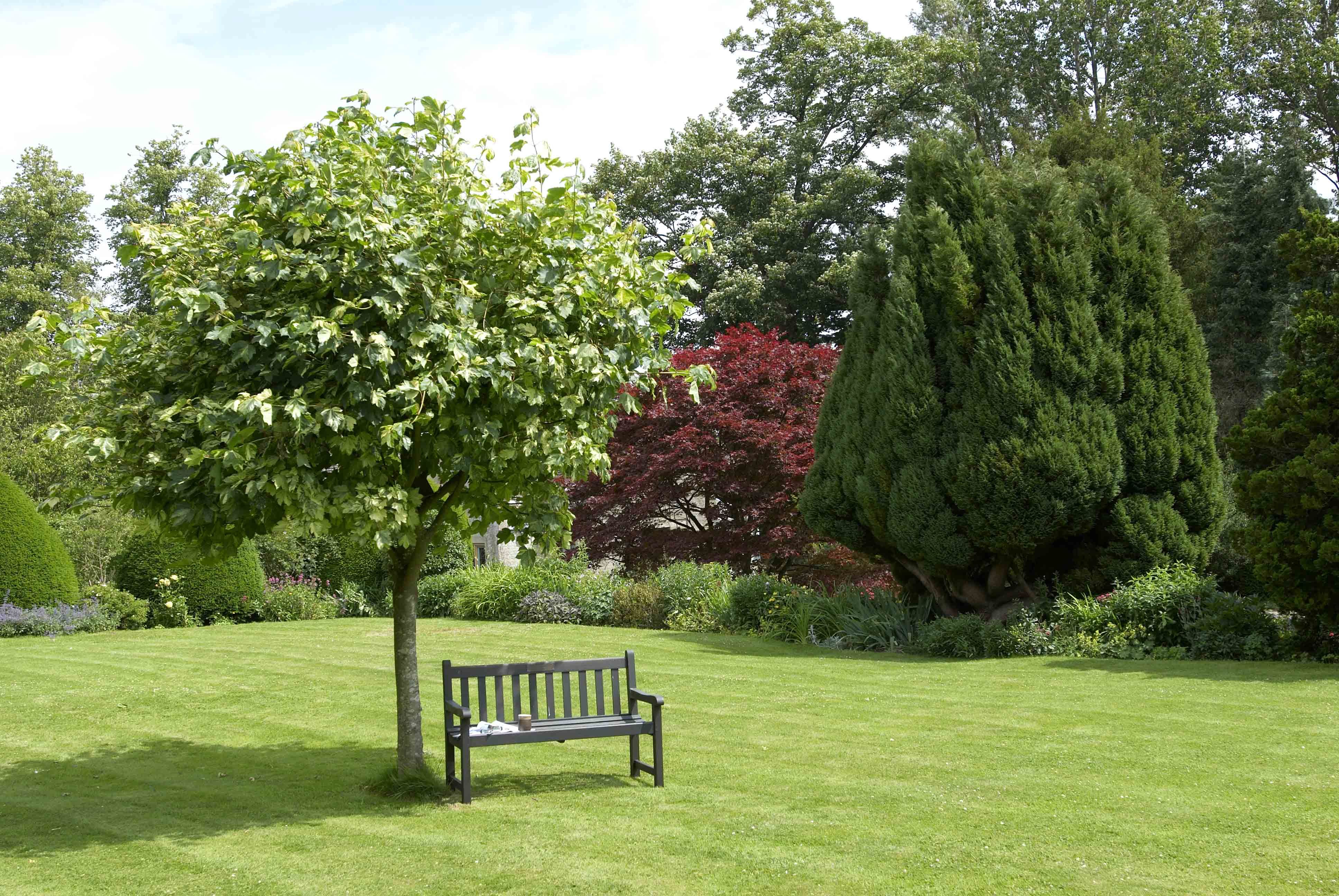 Плодовые деревья в ландшафтном дизайне bench in the garden Gartendesign ideen, Gartenbilder, Landschaftsdesign