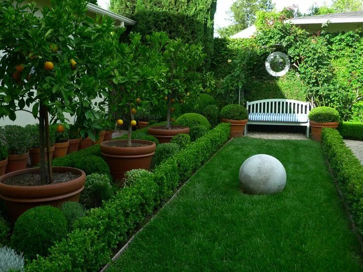 Плодовый ландшафтный дизайн I want this in my front yard instead of foundation plantings. Fruit trees!! Smal