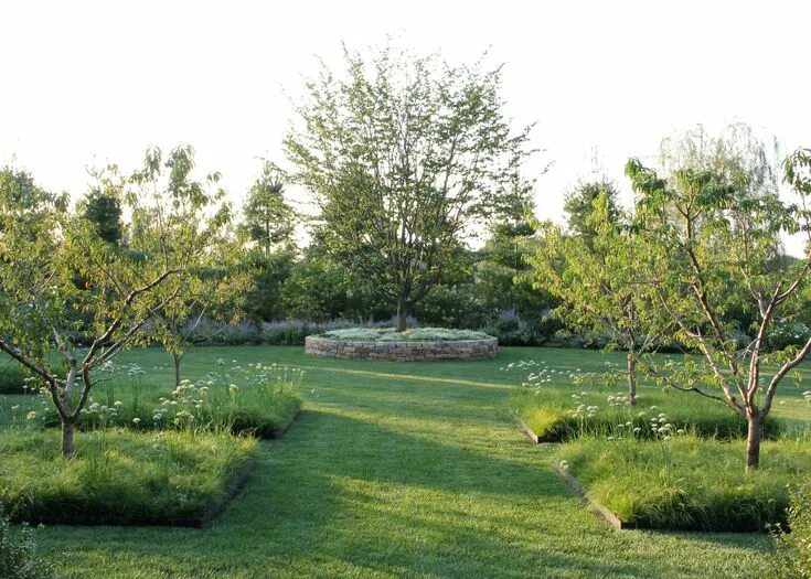 Плодовый ландшафтный дизайн underplanting fruit trees Landscaping trees, Cottage garden, Palm trees landscap