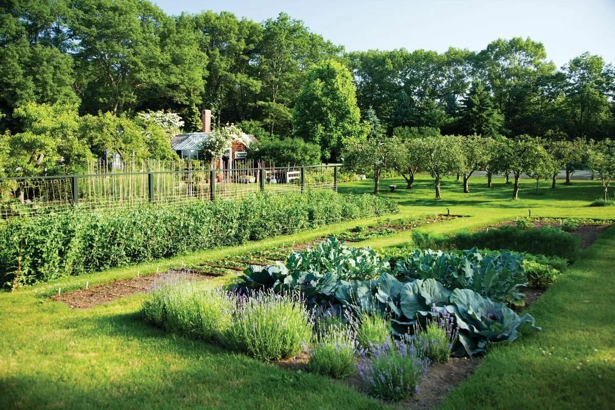 Плодовый ландшафтный дизайн Page not found Garden layout, Tree garden design, Fruit garden layout