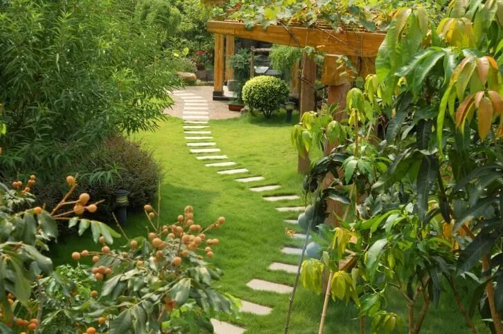 Плодовый ландшафтный дизайн Jardines modernos con piedras Backyard landscaping designs, Backyard landscaping