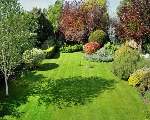 Плодовый ландшафтный дизайн Pin by Nick Davis on Garden Plan Amazing gardens, Garden planning, Garden nurser