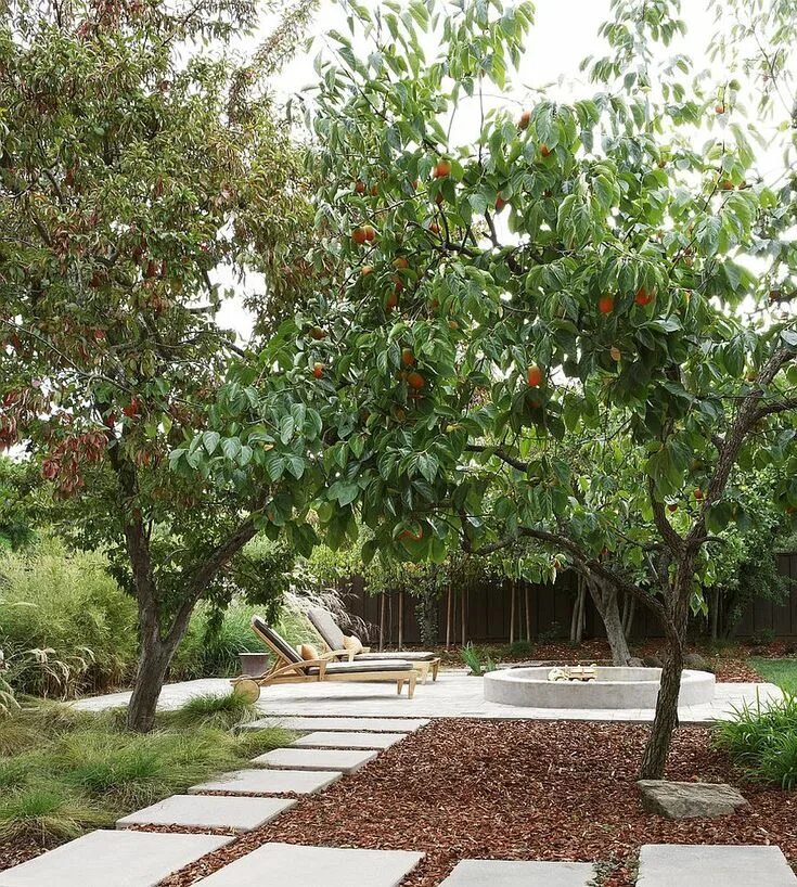 Плодовый сад на участке фото Beating Post-Holiday-Season Blues: 7 Ways Your Home Can Help! Fruit tree garden,